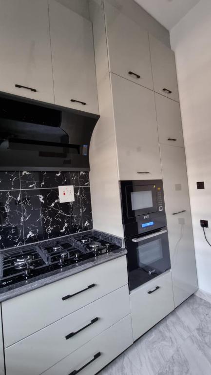 Kuchyň nebo kuchyňský kout v ubytování F&F Luxury Residence