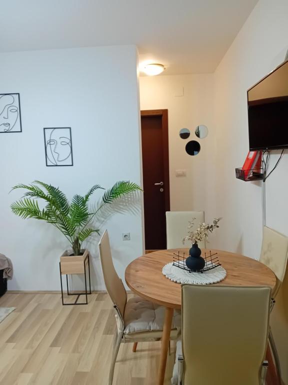 TV a/nebo společenská místnost v ubytování Apartman,, Nina ,,