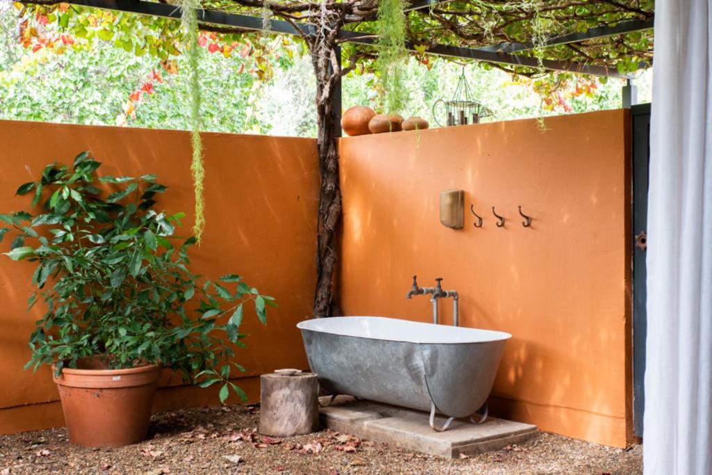 Foto dalla galleria di Liedjiesbos Urban Olive Farm a Bloemfontein