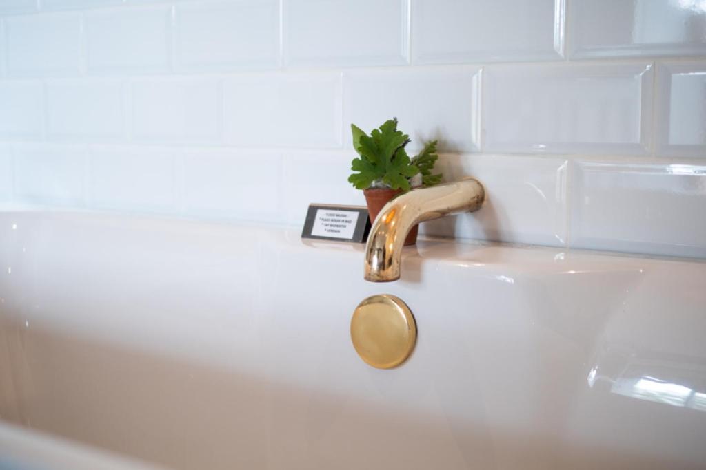Bagno di Liedjiesbos Urban Olive Farm