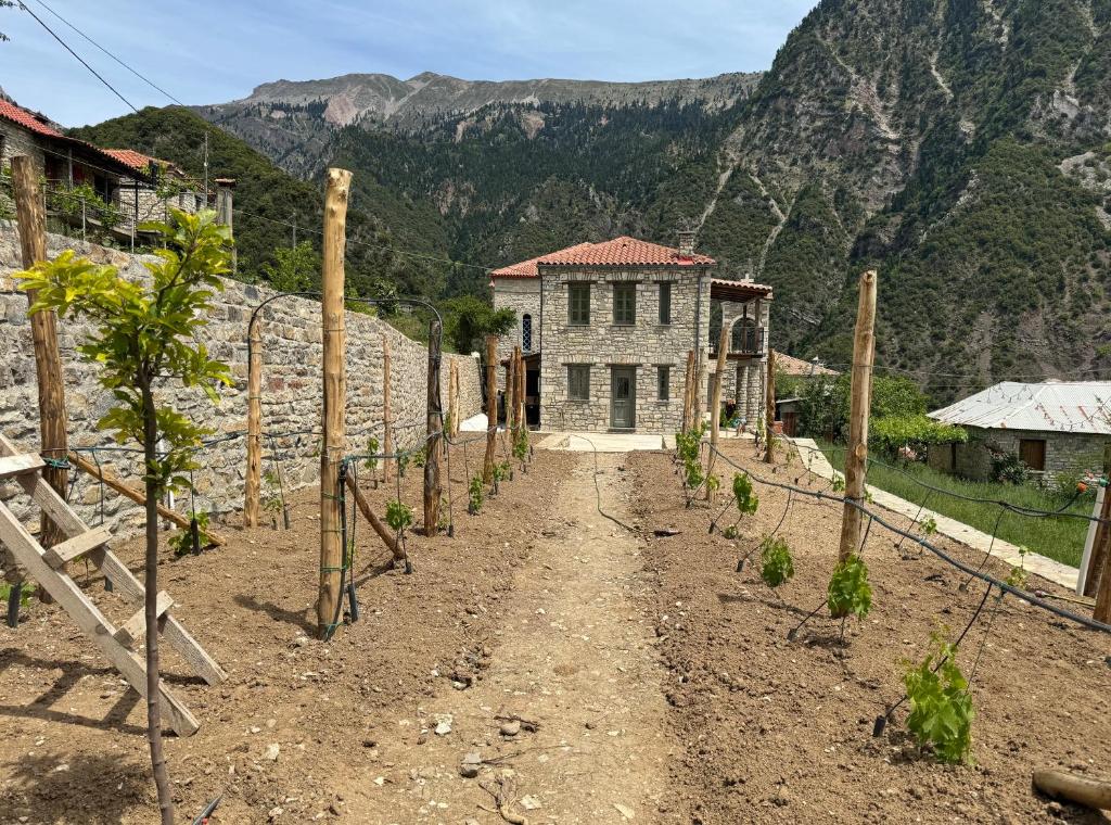 Naturlandskabet i nærheden af lejligheden