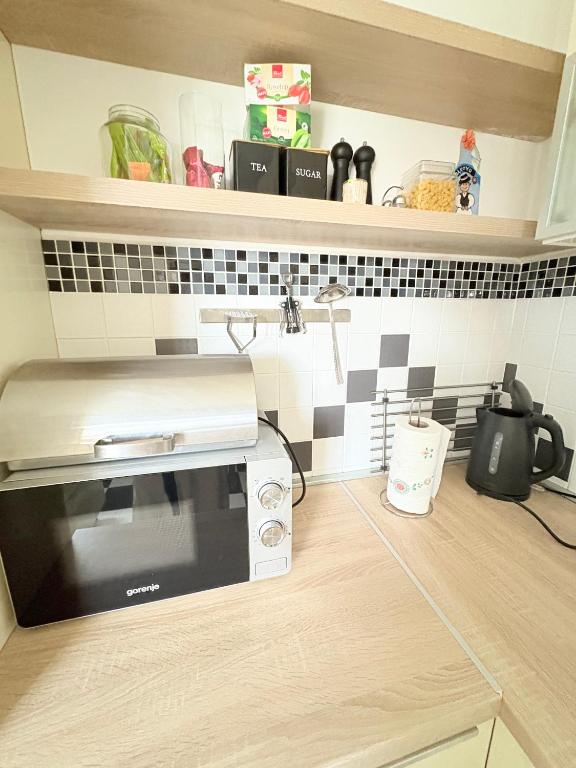 Franko's Cozy Apartment with garage - 12