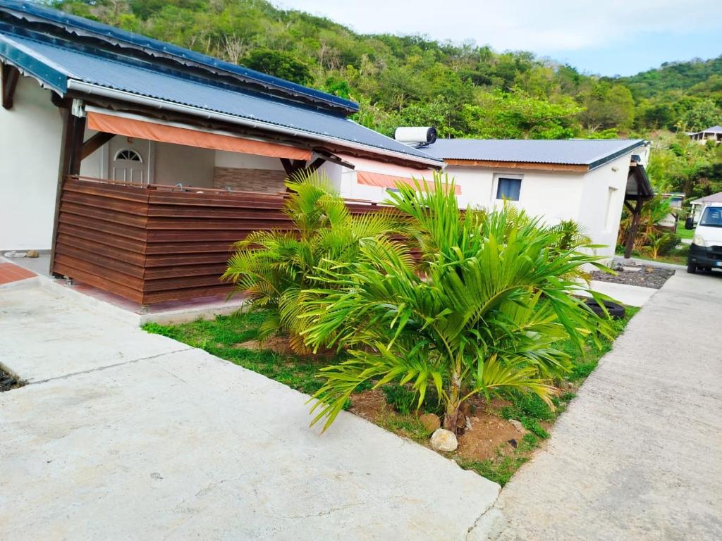 una casa con palmeras delante en BUNGALOW Terakota, en Deshaies
