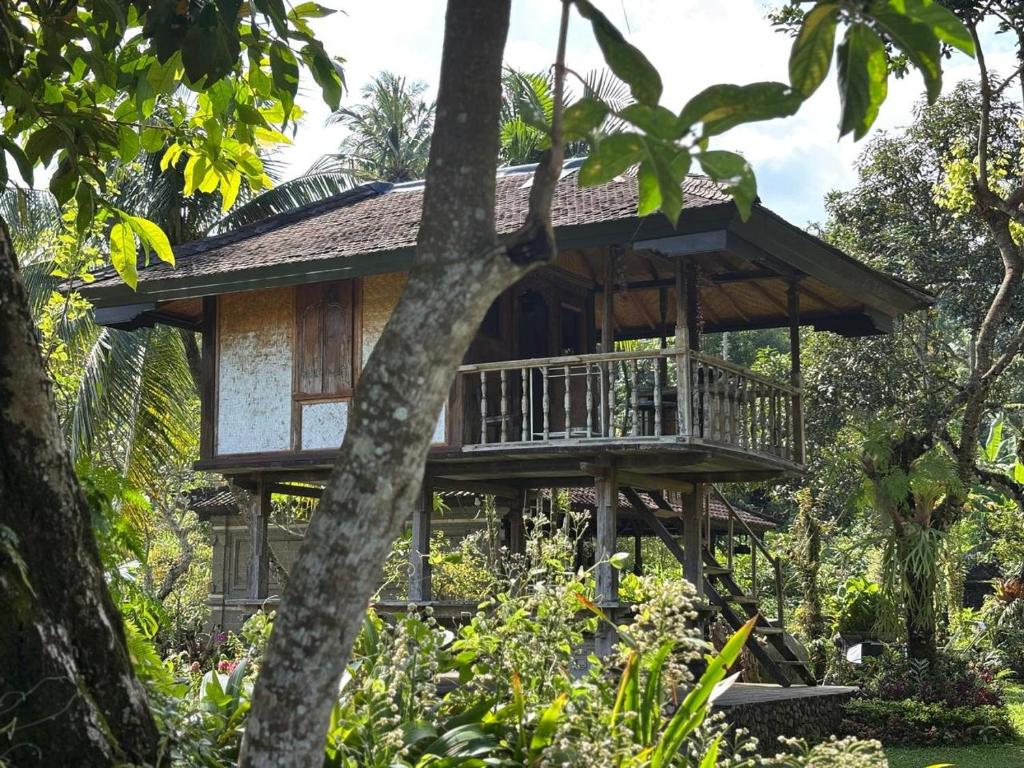 Mesari Cottage Guest House - Double Room