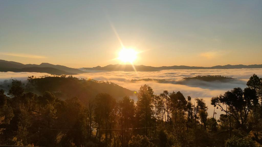 Природа в окрестностях варианта проживания в семье