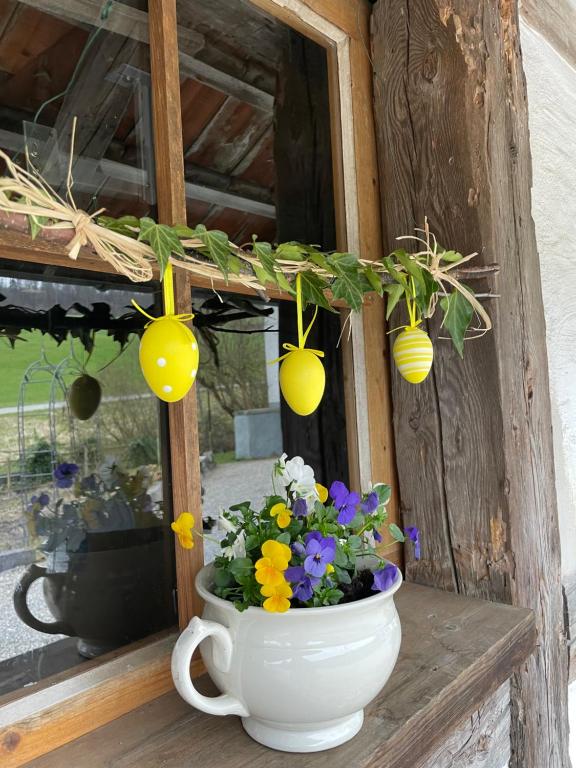 Fotografie z fotogalerie ubytování B&B Siglistorf v destinaci Siglistorf
