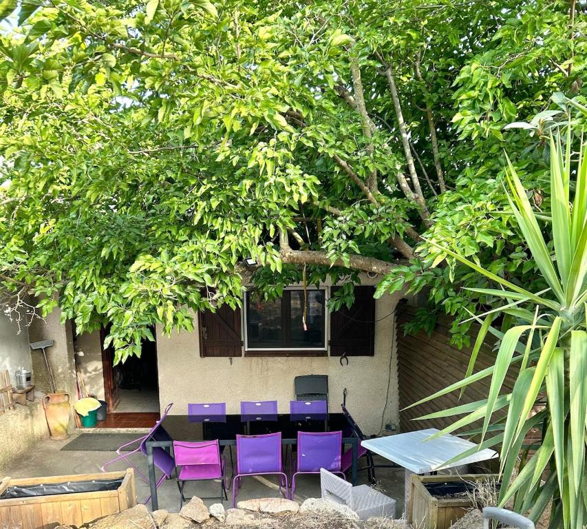 Κήπος έξω από το Maison de village corse