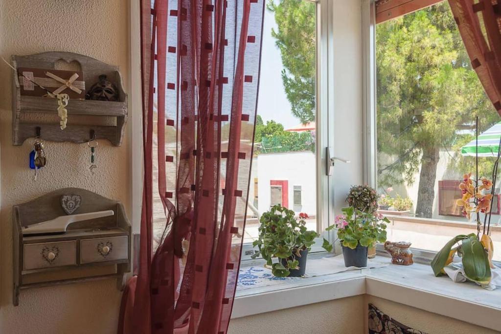 a window with a red curtain and plants on a window sill at Casa Paola in Numana