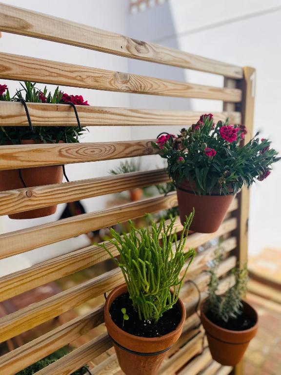 Casa Valenciana con Terraza - 19