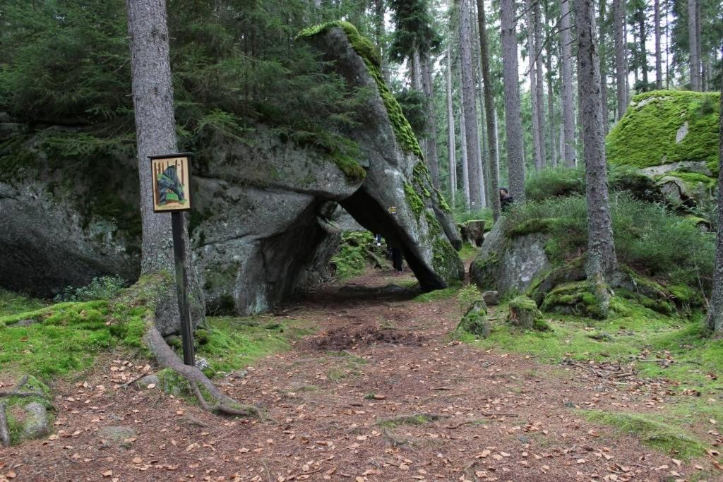 Příroda nedaleko apartmánu