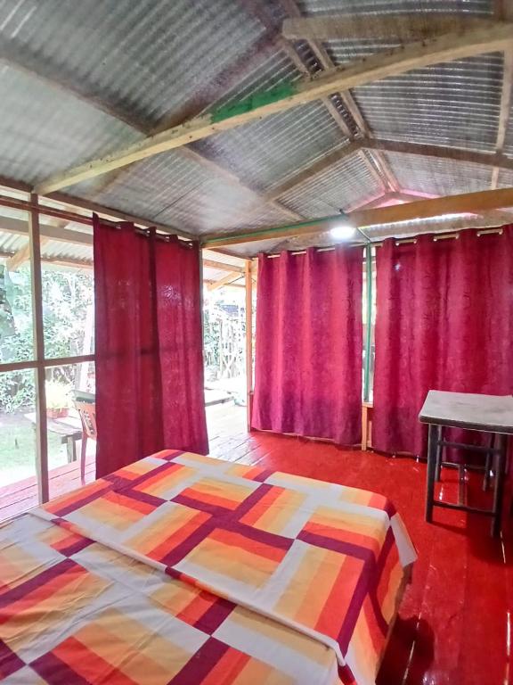 Hostal Búho Amazonas tours