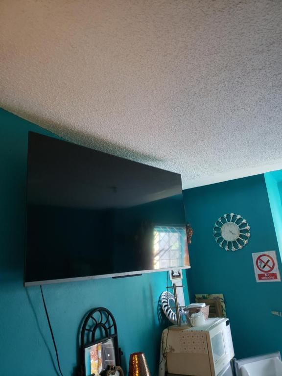 TV a/nebo společenská místnost v ubytování Colorful Private Room Oasis
