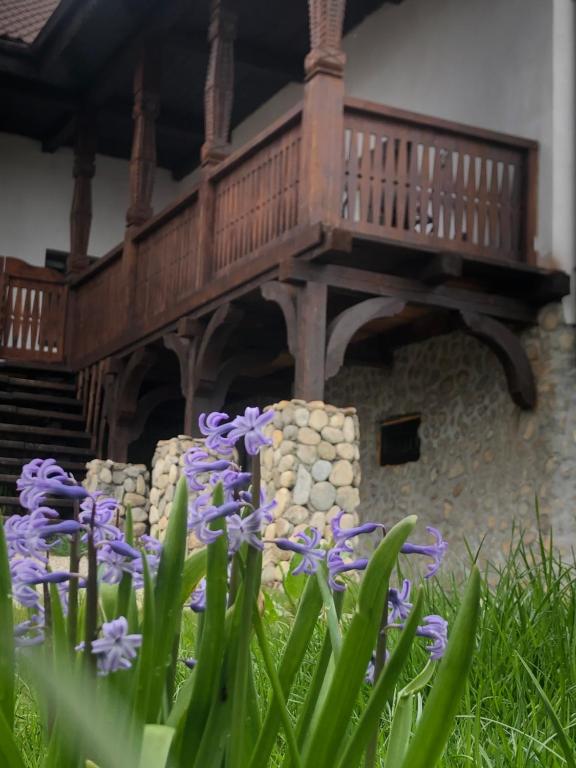 Zahrada ubytování The Carpathian Lodge
