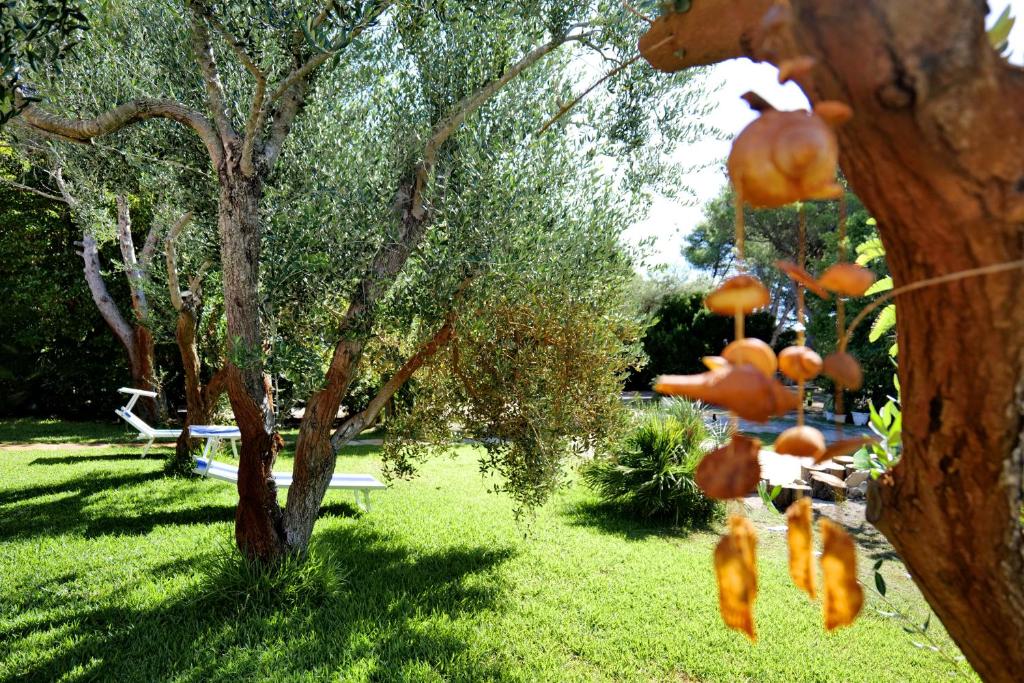 Zahrada ubytování Missipezza Residence a Frassanito