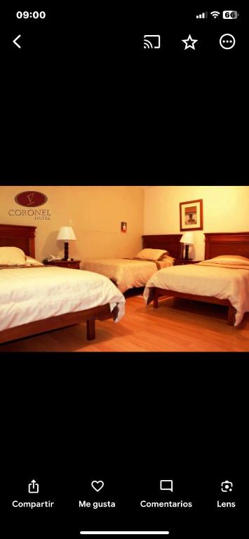 Postel nebo postele na pokoji v ubytování Hotel Coronel