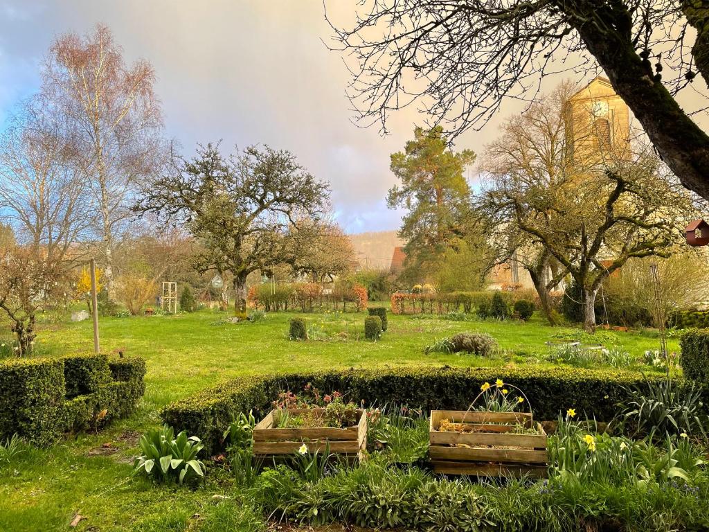 un jardin avec deux bancs dans l'herbe dans l'établissement Au grenier du loup bleu, à Besain