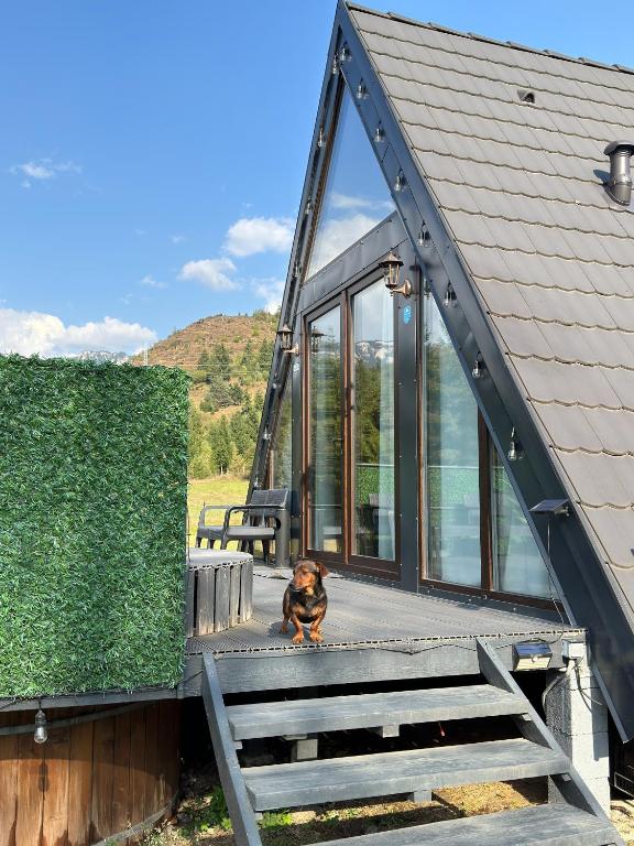 a dog sitting on the porch of a house at SouL EsCaPe in Bălan