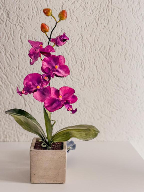 Fotografie z fotogalerie ubytování Apartment Lorena v destinaci Brčko