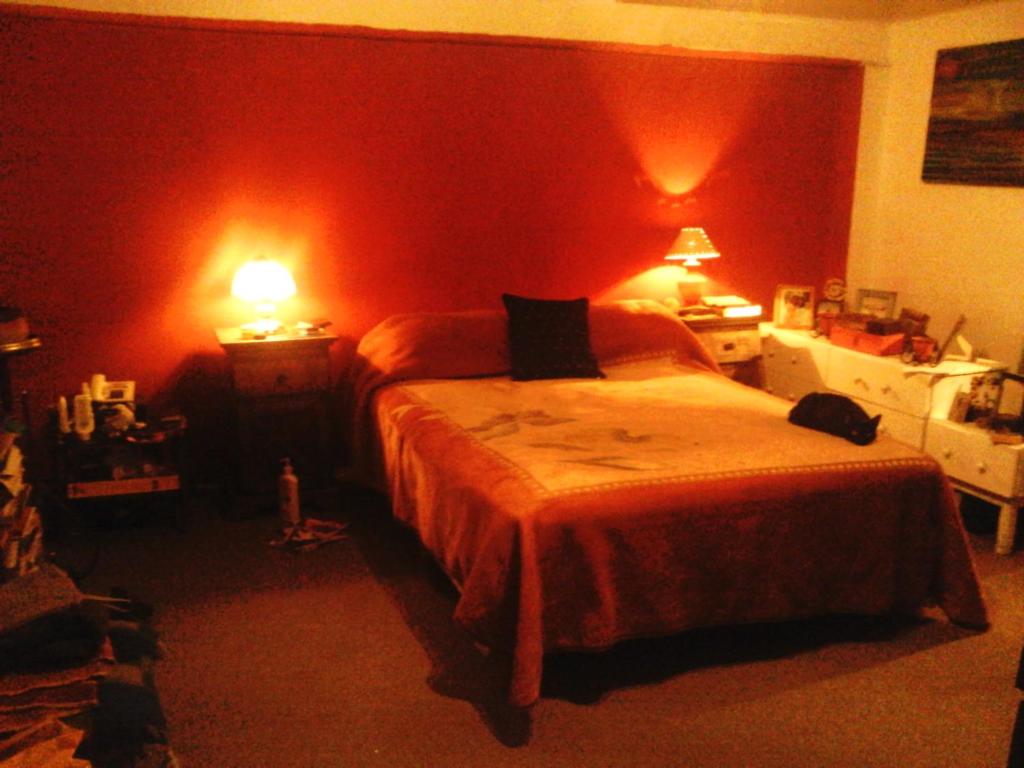 1 dormitorio con 1 cama con paredes rojas y 2 lámparas en La Casa De Lily en Buenos Aires