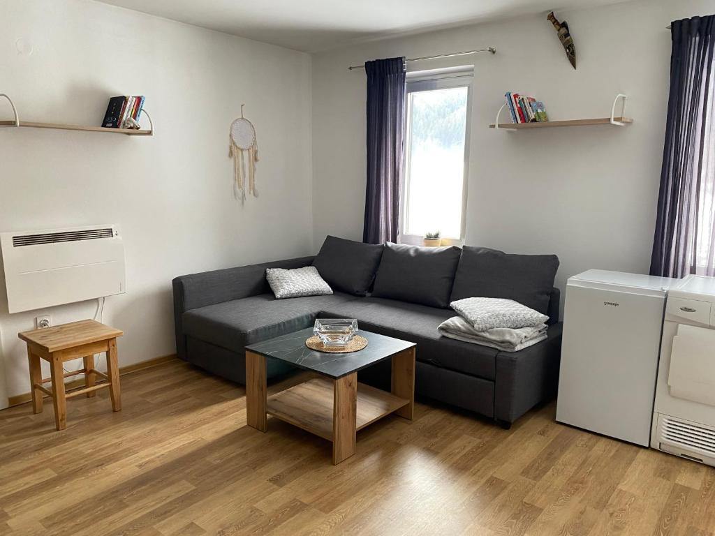 Posezení v ubytování Apartma Confine