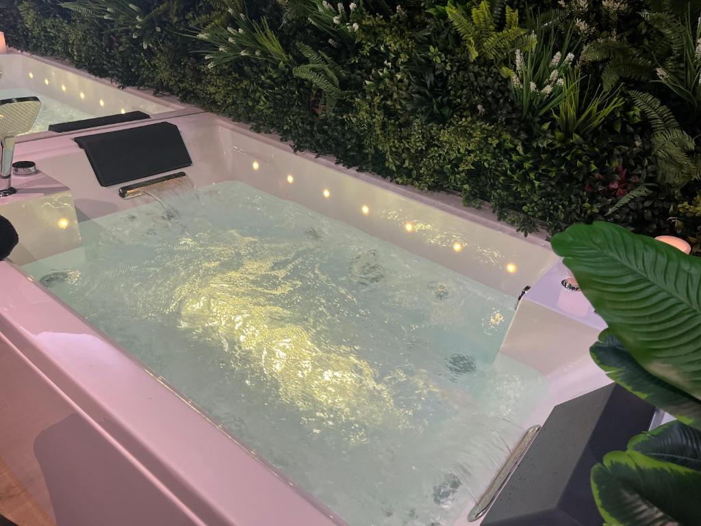 Fotografie z fotogalerie ubytování L'élégance - Charme - Jacuzzi - -Secret- Parking v destinaci Sarrebourg