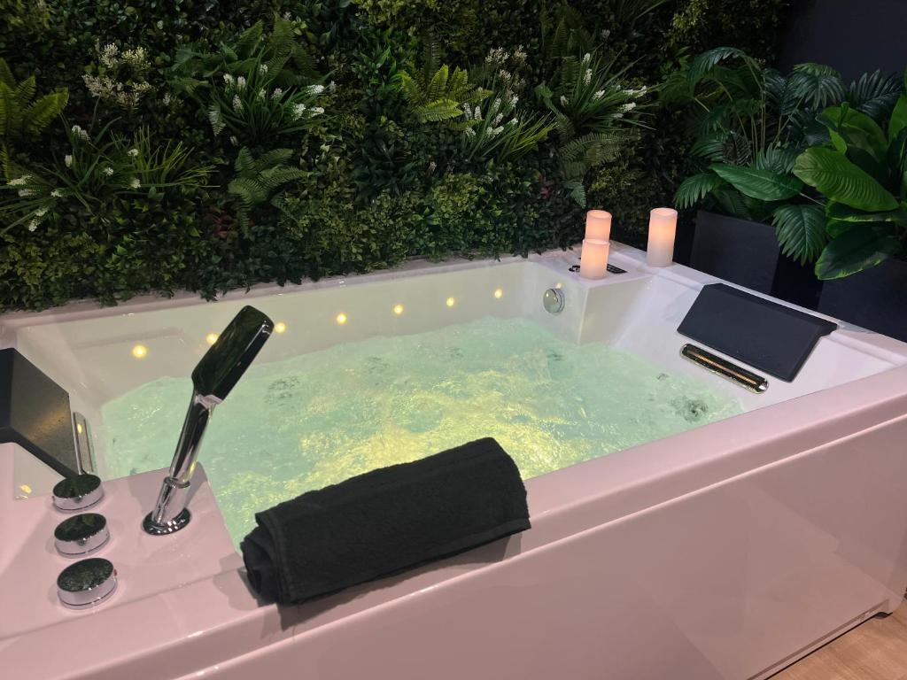 Fotografie z fotogalerie ubytování L'élégance - Charme - Jacuzzi - -Secret- Parking v destinaci Sarrebourg