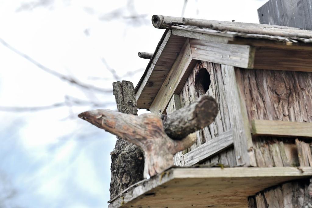 Fotografie z fotogalerie ubytování Shikinosato Hanamura v destinaci Minamioguni