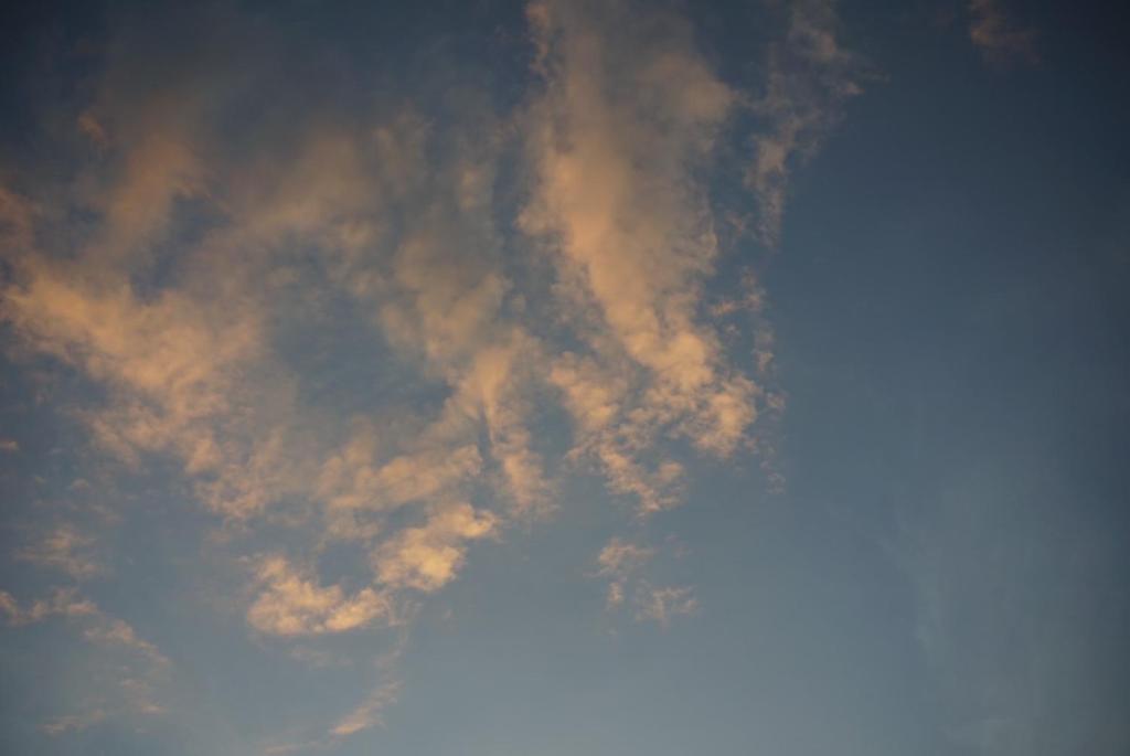 Fotografie z fotogalerie ubytování みやうら御殿 v destinaci Imabari