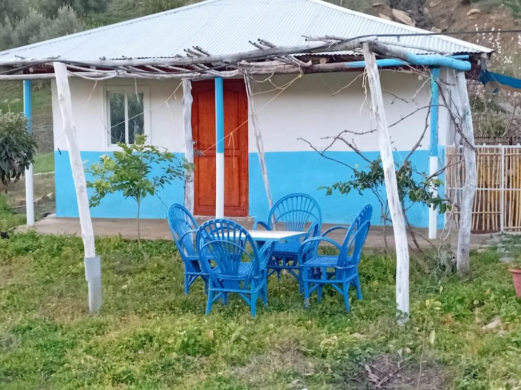 Giardino di Dar zitouna