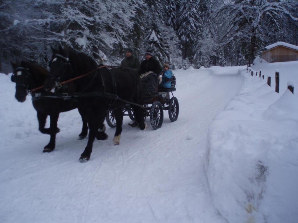Edthof durante l'inverno
