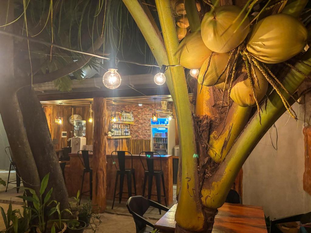 Fotografie z fotogalerie ubytování Mathiveri Thundi Inn v destinaci Mathiveri