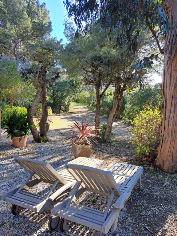 Zahrada ubytování BASTIDE PRESQU ILE DE GIENS SUPERBE VUE MER PISCINE