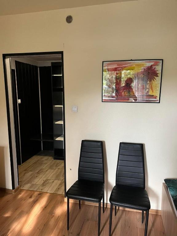 Zajazd Lesny Zakatek dawniej Zajazd Don Kichot - Resim 13