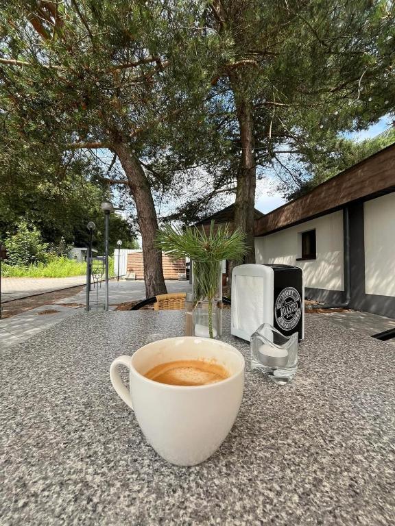 Zajazd Lesny Zakatek dawniej Zajazd Don Kichot - Resim 10