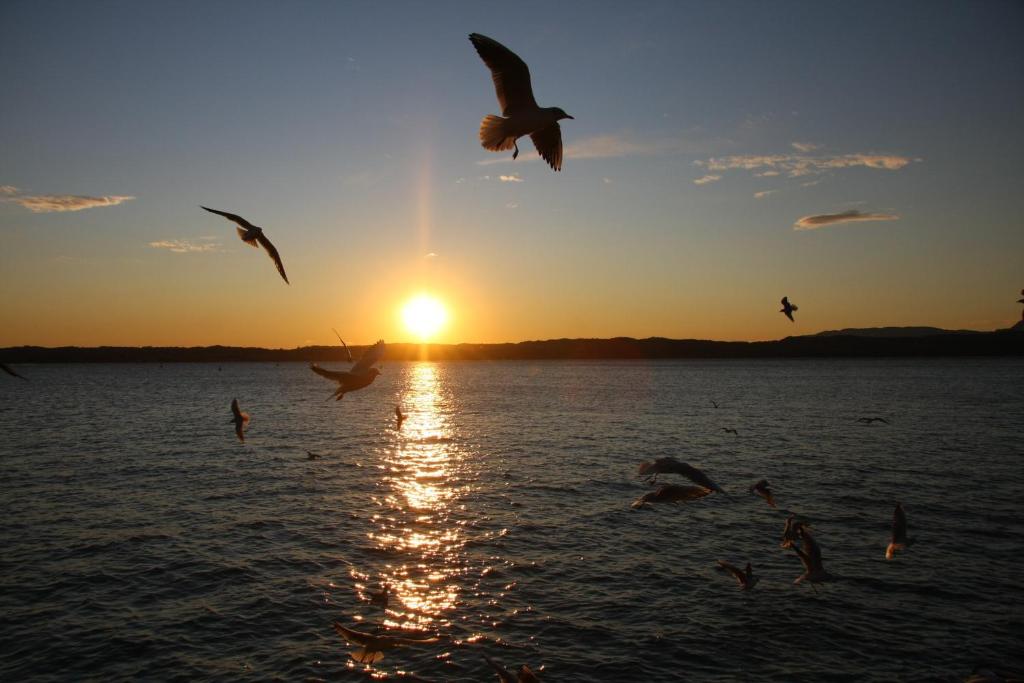 Hotel Fiordaliso - 14