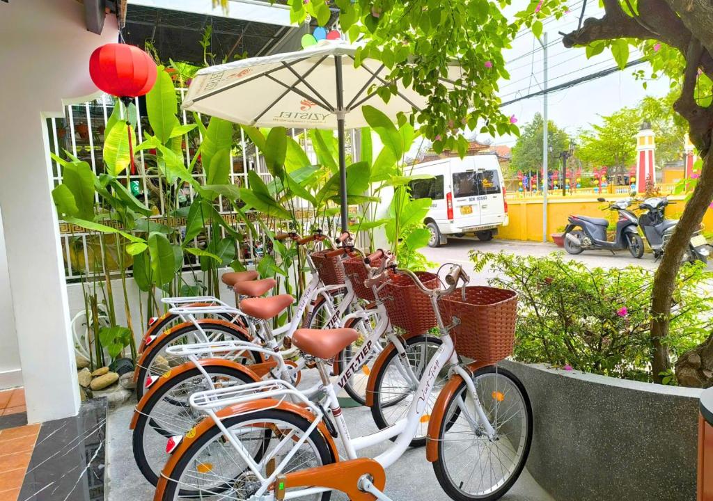 Fotografie z fotogalerie ubytování Yzistel Hoi An v destinaci Hoi An