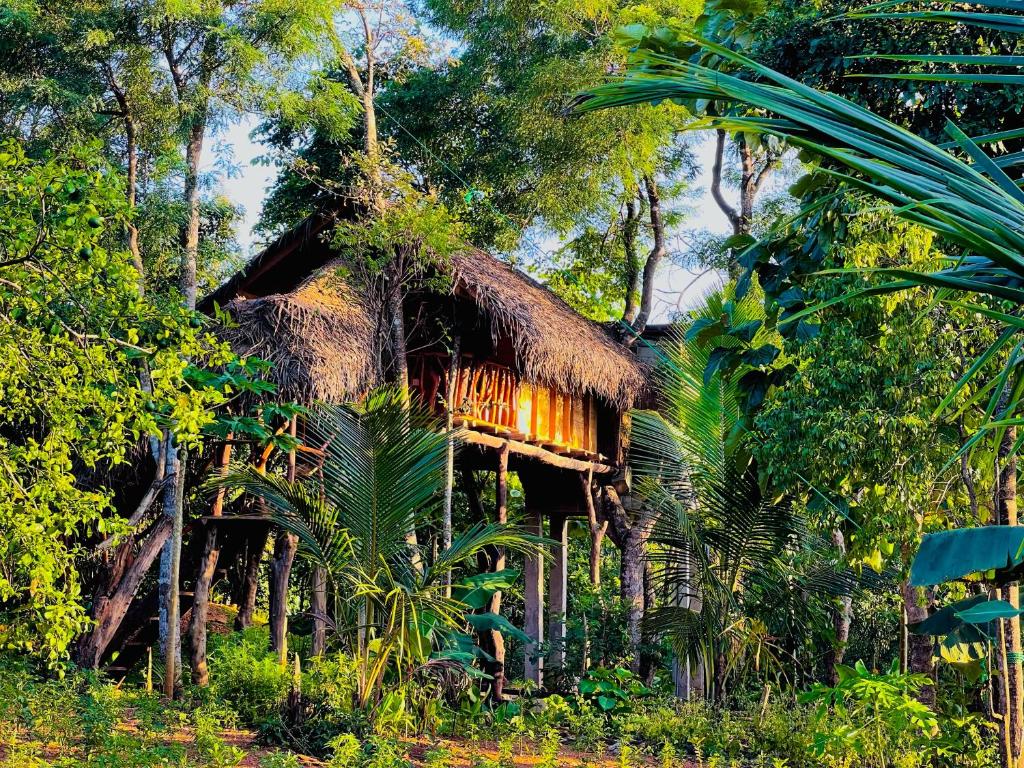 Zahrada ubytování Green land tree house sigiriya