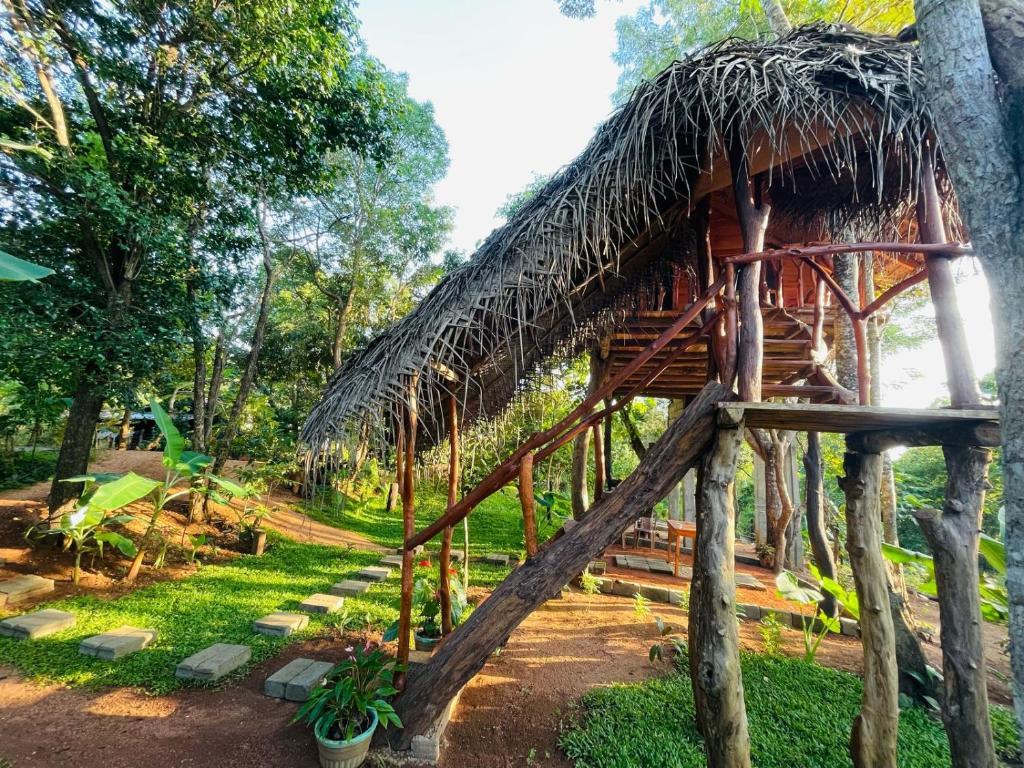 Zahrada ubytování Green land tree house sigiriya