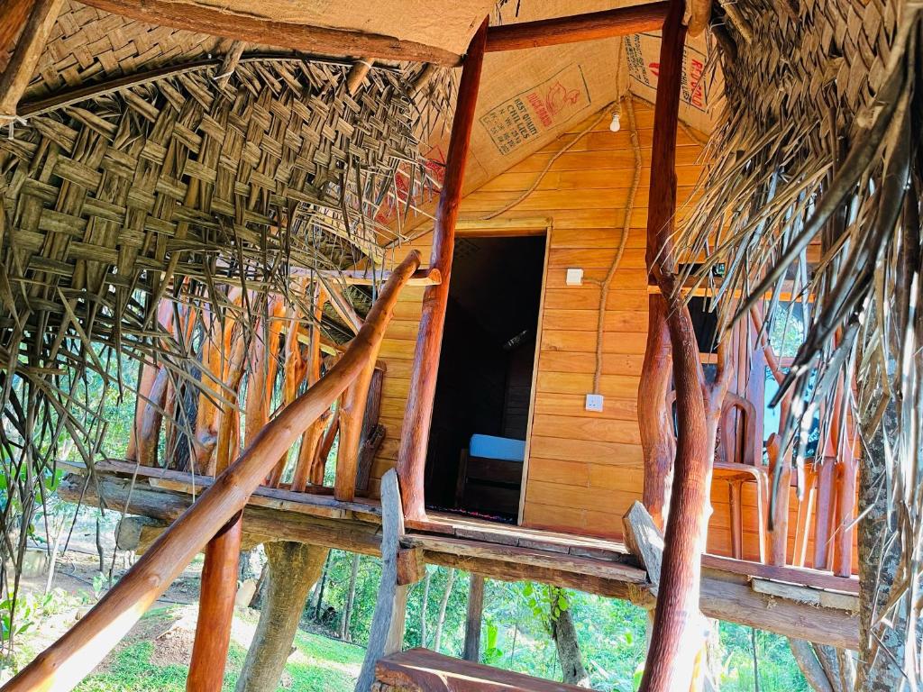 Zahrada ubytování Green land tree house sigiriya