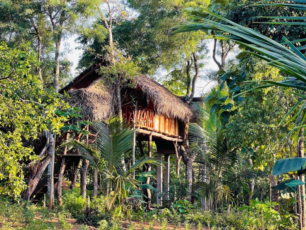 Zahrada ubytování Green land tree house sigiriya