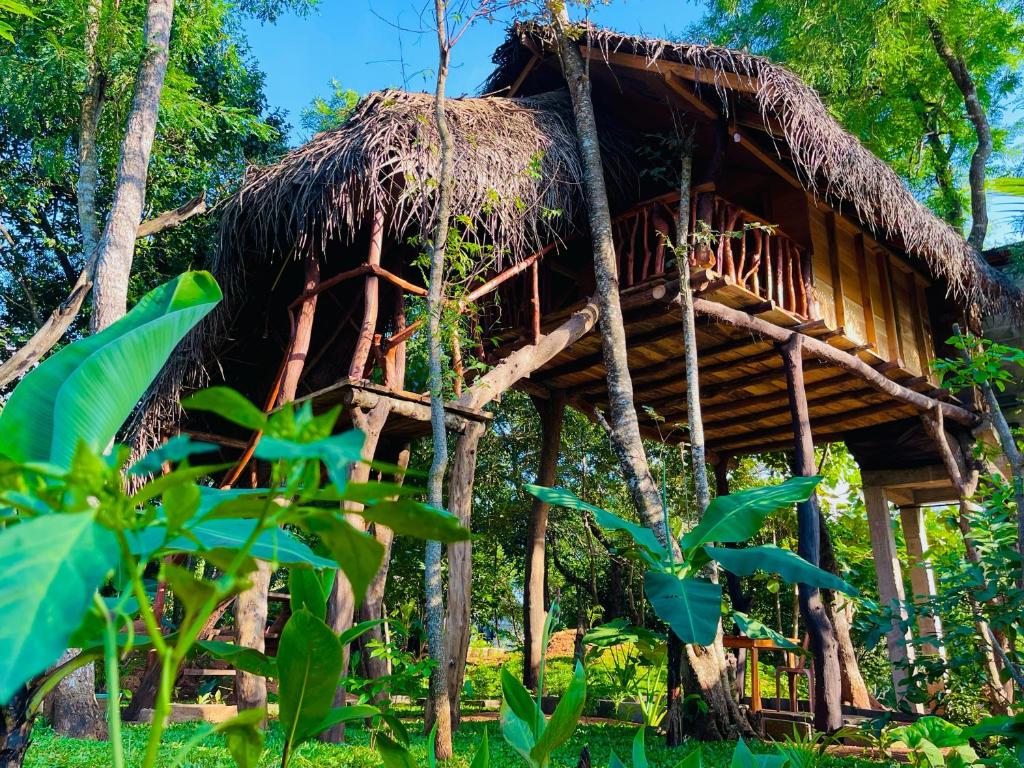 Zahrada ubytování Green land tree house sigiriya