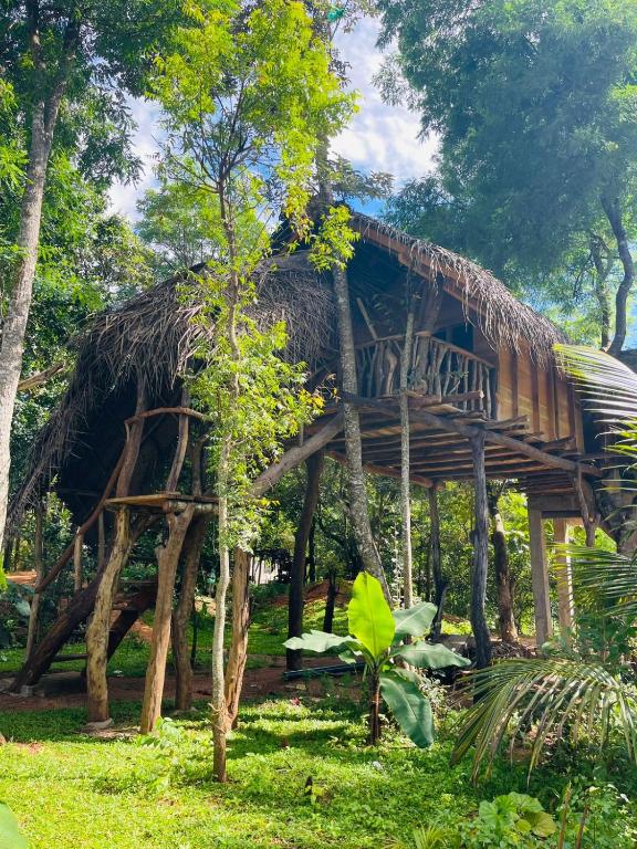 Zahrada ubytování Green land tree house sigiriya
