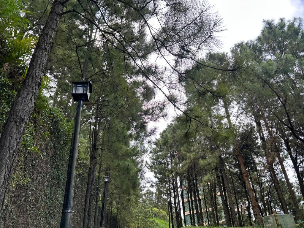 Příroda nedaleko apartmánu