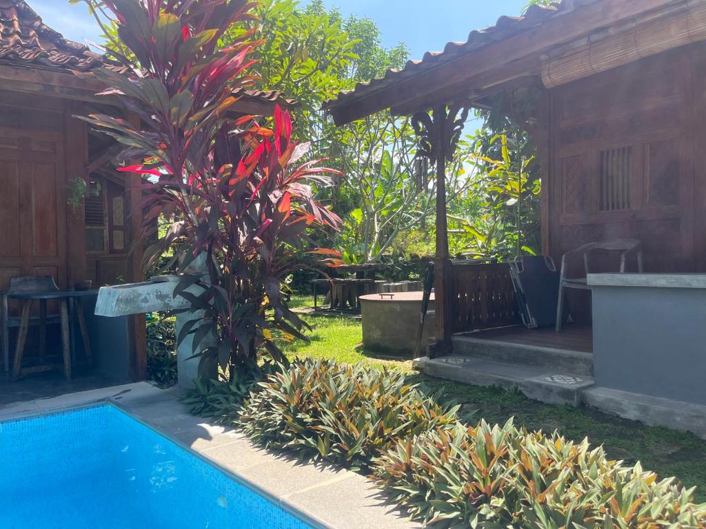 Bazén v ubytování Villa Nextdoor Nature Yogyakarta nebo v jeho okolí
