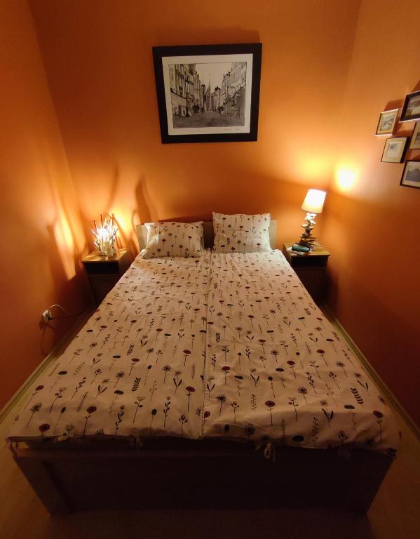 Łóżko lub łóżka w pokoju w obiekcie Apartament Helskie Trolle w HELU