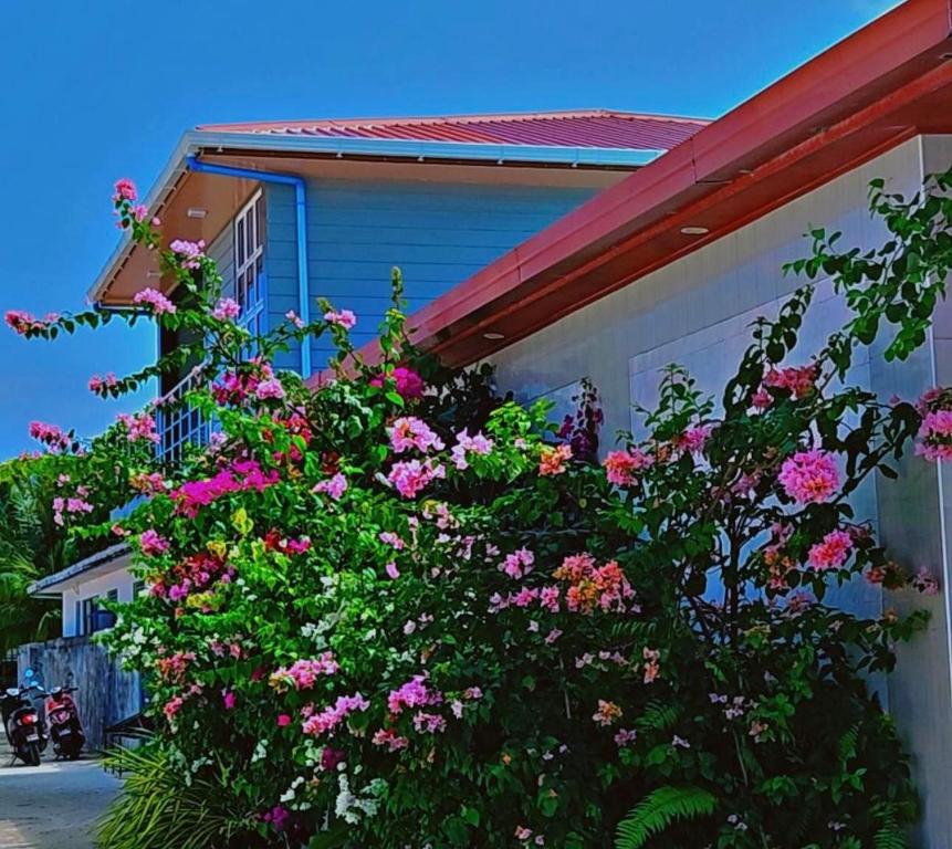 Zahrada ubytování Jazz guest house