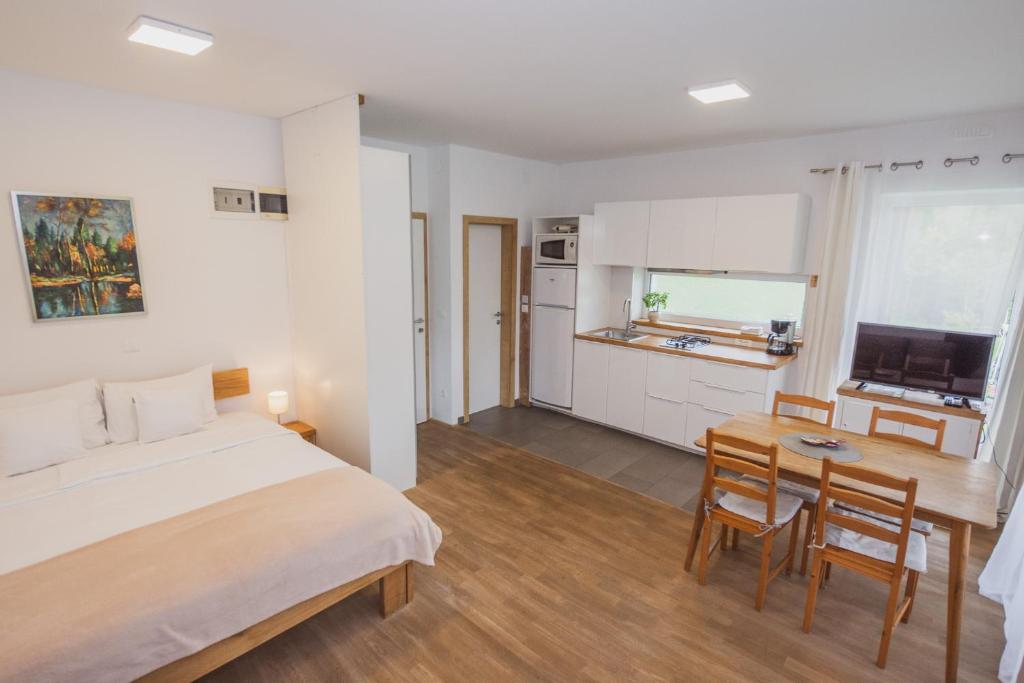 TV a/nebo společenská místnost v ubytování PR`FIK Apartments