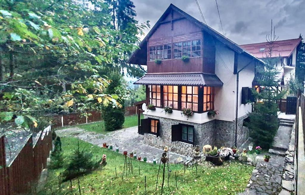 Κήπος έξω από το Oaki Forest Predeal