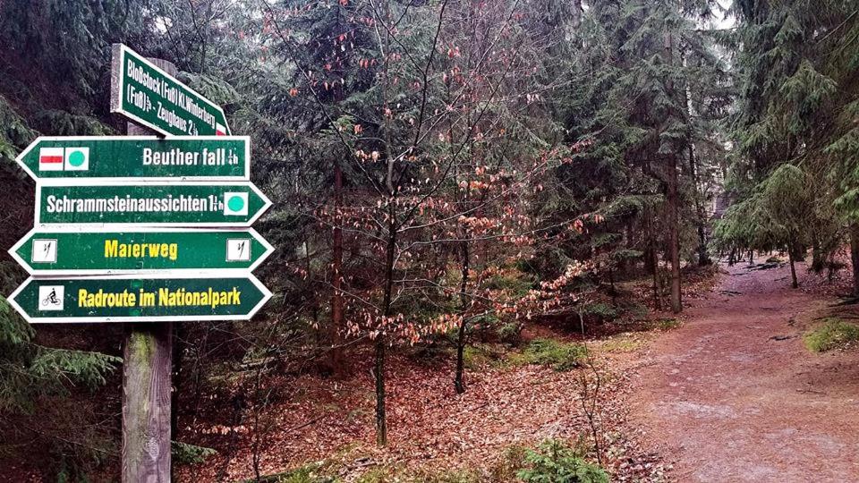 Příroda nedaleko penzionu
