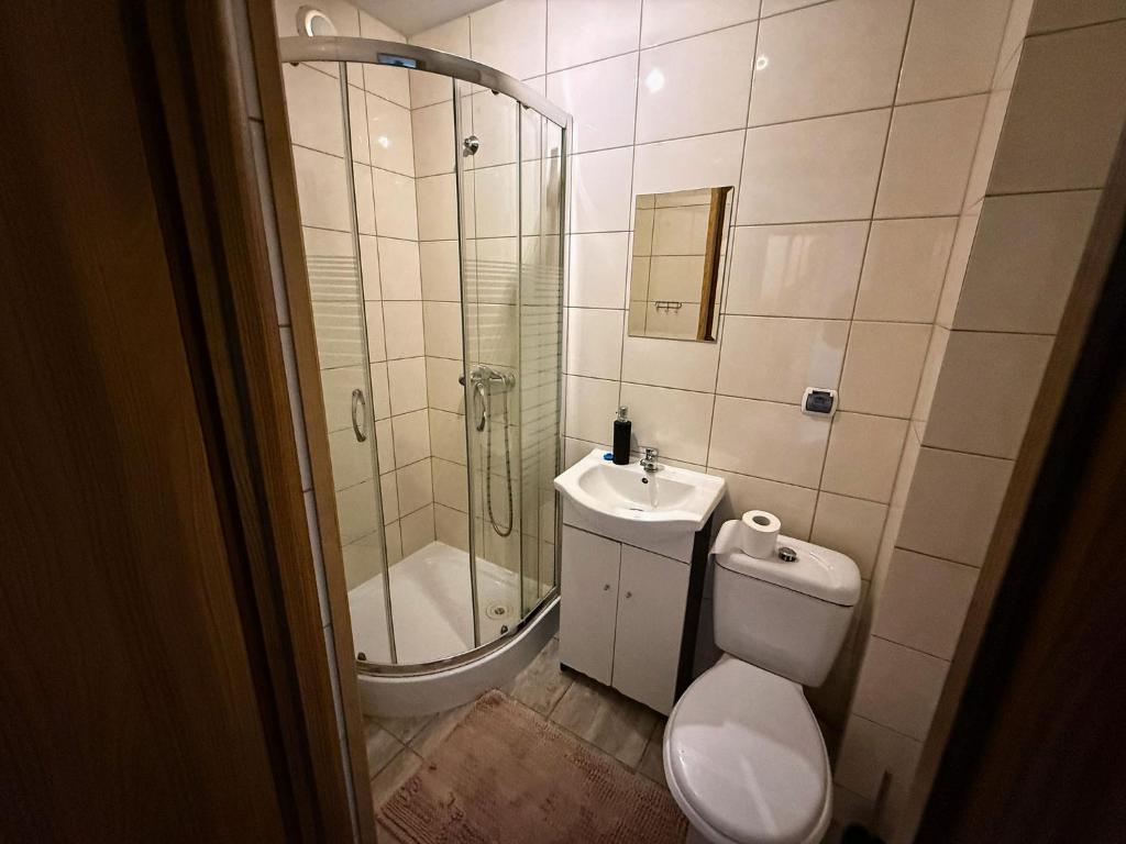 Kúpeľňa v ubytovaní Kwatery u Anety